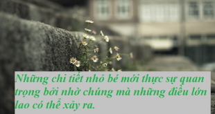 Sinh sống nhiều năm ở Nhật Bản, tôi nhận ra 5 bài học cực đơn giản mà người dân nước này áp dụng để tạo nên sự khác biệt và thành công - Ảnh 1.