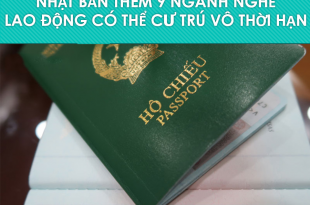 9 ngành nghề bổ sung cho phép người lao động cư trú vô thời han ở Nhật: nông nghiệp, hàng không, sản xuất công nghệ, sản xuất thực phẩm và đồ uống, dịch vụ thực phẩm, vệ sinh tòa nhà, khách sạn, đánh bắt cá và bảo dưỡng ô tô.